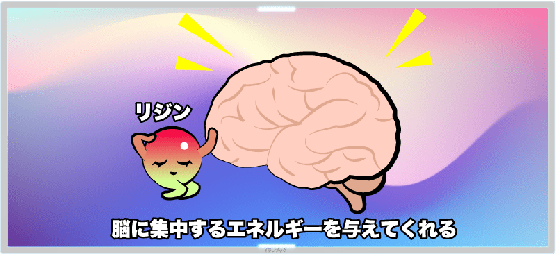 リジンの力で脳細胞が活性化