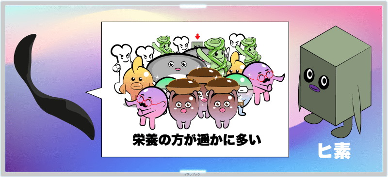 ひじきの謎を解明！毒があるって本当？漢字でどう書くの？糖尿病を防ぐ成分とは。