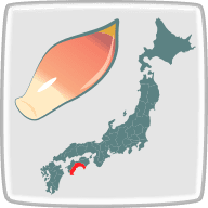 高知県