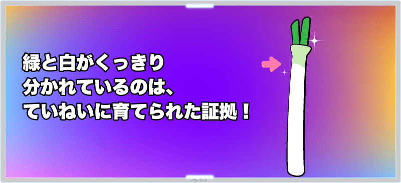緑と白がくっきり分かれているのは、ていねいに育てられた証拠!
