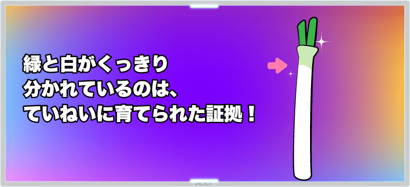 緑と白がくっきり分かれているのは、ていねいに育てられた証拠！