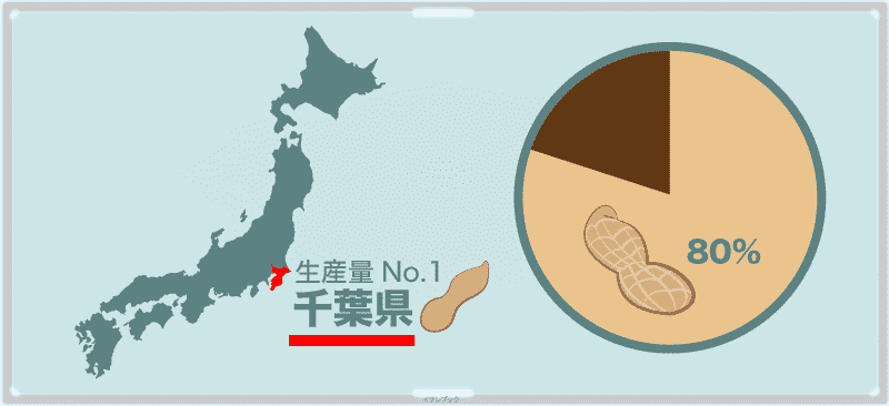 落花生は千葉県が全国の80%近い生産量を誇る