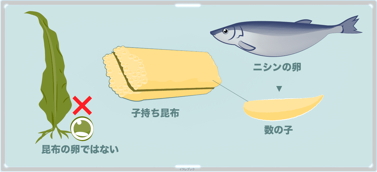 とろろ昆布とおぼろ昆布