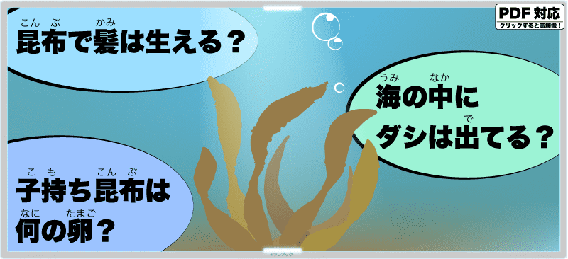 昆布で髪は生える?海の中に出汁は出てる?子持ち昆布は何の卵?