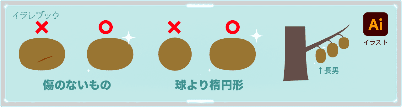 美味しいキュイは傷のない楕円形。幹に近いのが美味しい長男と呼ばれる