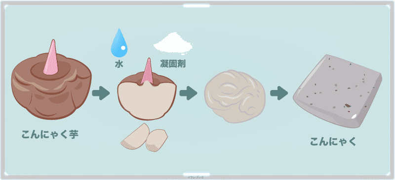 こんにゃくは、こんにゃく芋を潰して粉状にしたあと、水と凝固剤を加えて固めたプルンとした食品