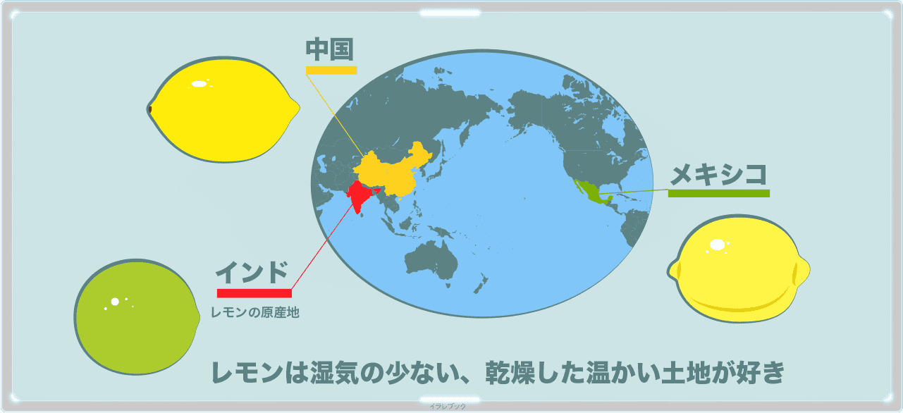 世界では、レモンはインドや中国、メキシコなど湿気の少ない、乾燥した温かい土地で多く生産されている