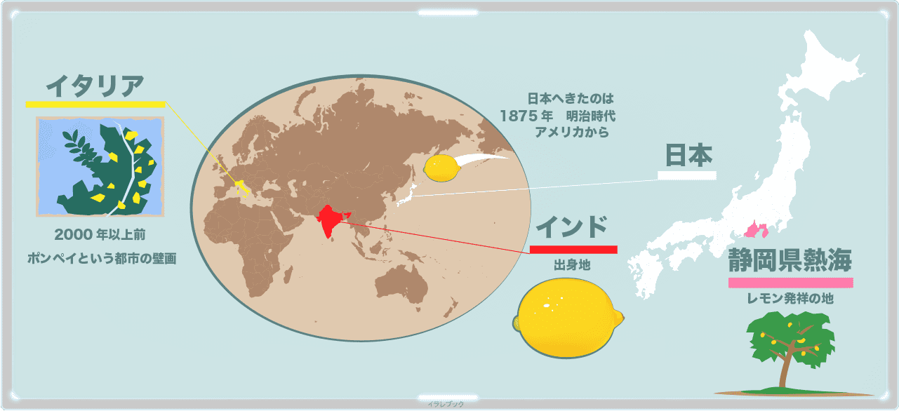 レモン発祥の地