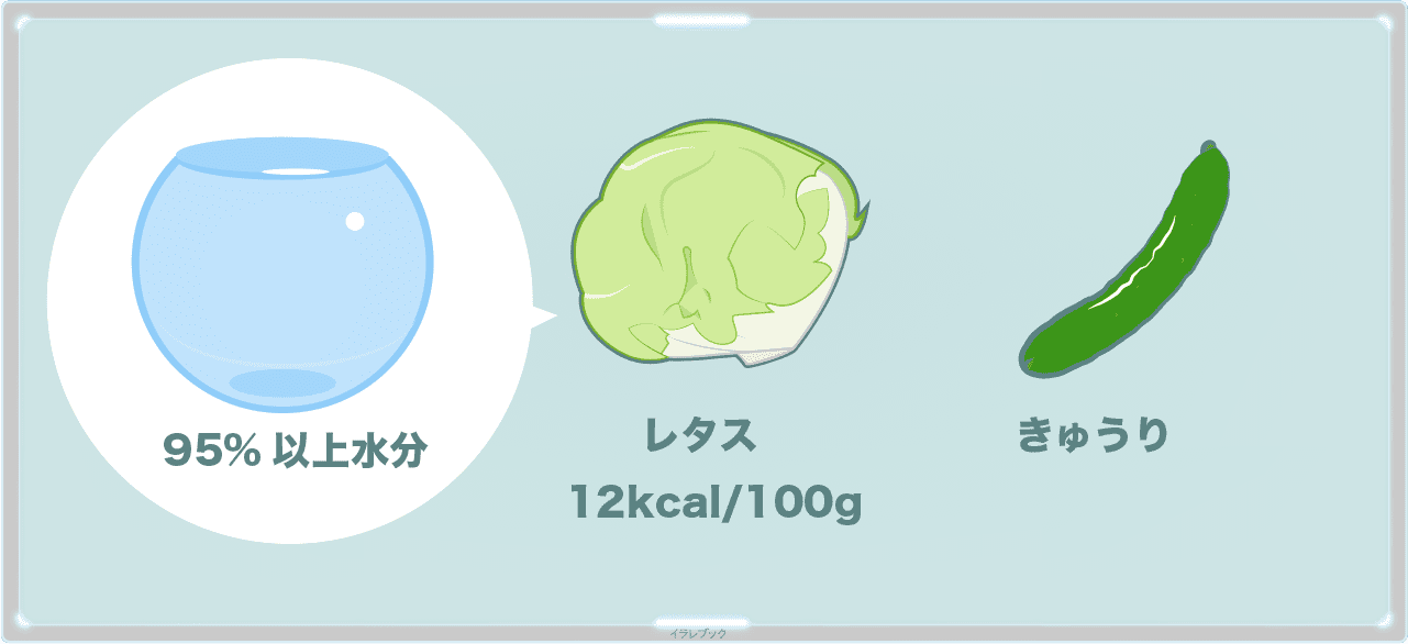 レタスの95%以上は水分。きゅうりよりもカロリーは低い