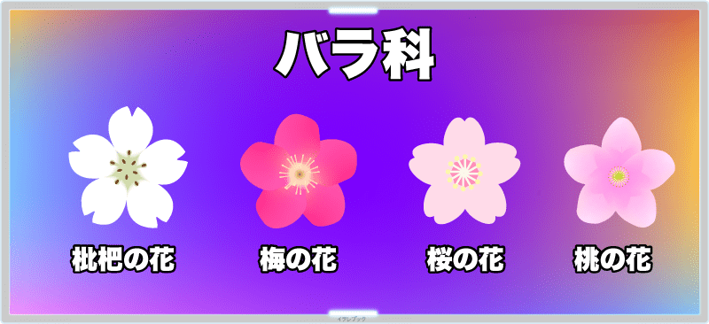 びわの花、梅の花、桜の花、桃の花