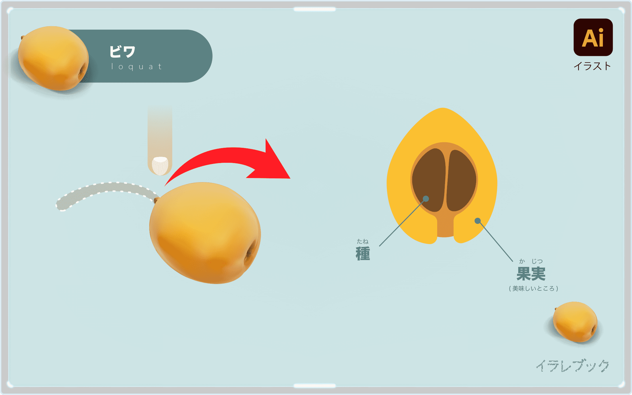 びわの食べ方