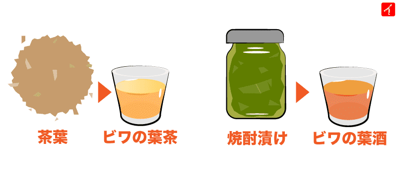 びわの茶葉