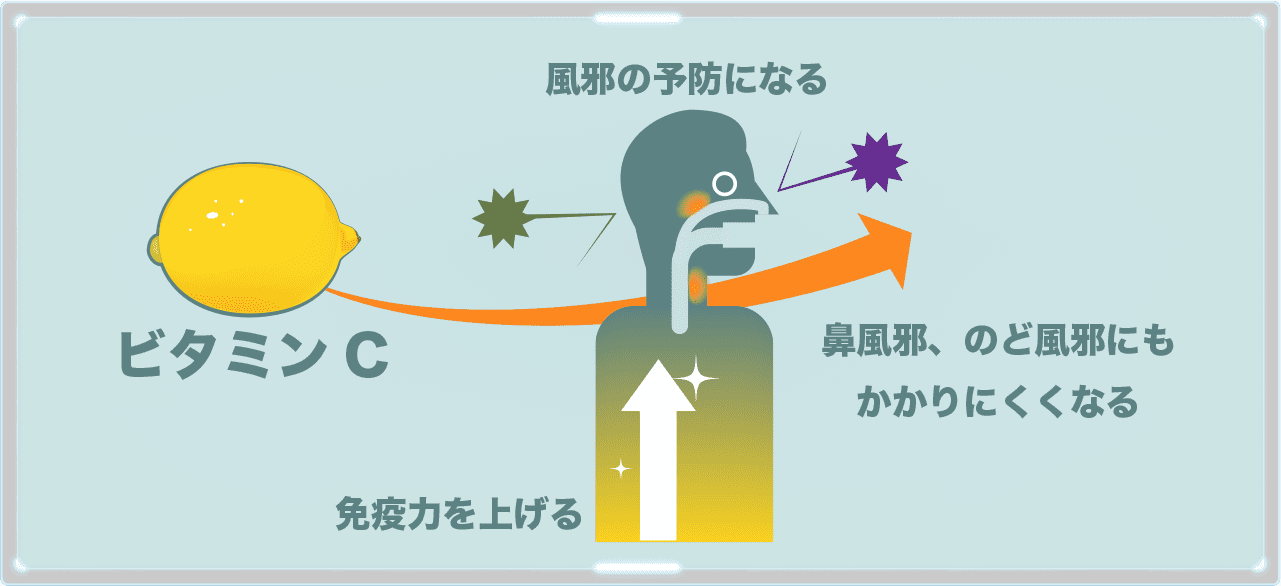 レンコンにあるビタミンCは身体の免疫力をあげてくれるので風邪予防になる