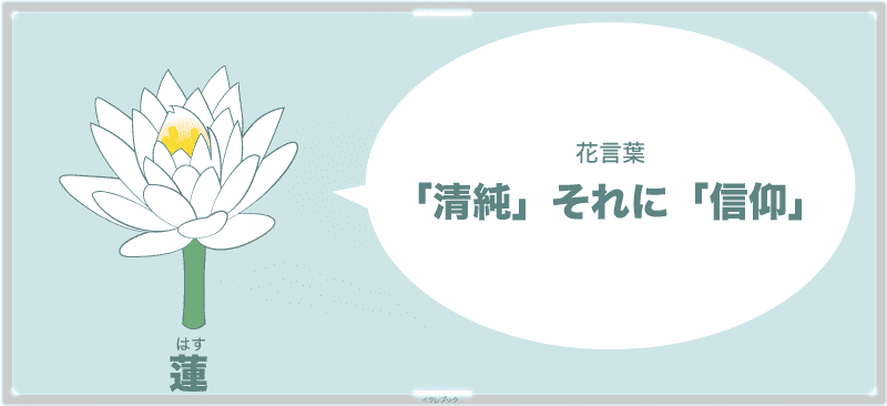 蓮の花言葉