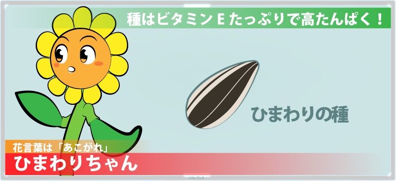 種はビタミンEたっぷりで高たんぱく!ひまわりちゃん