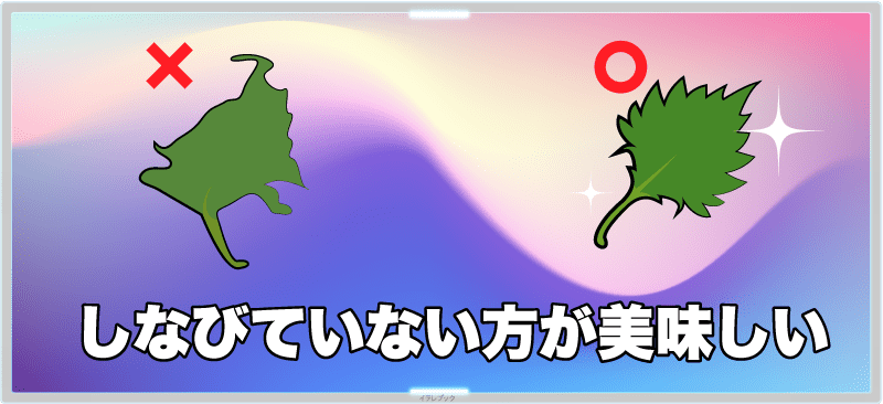 βカロテン量が多いのは人参?紫蘇?