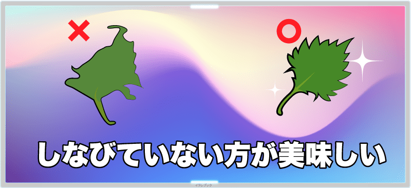 βカロテン量が多いのは人参？紫蘇？