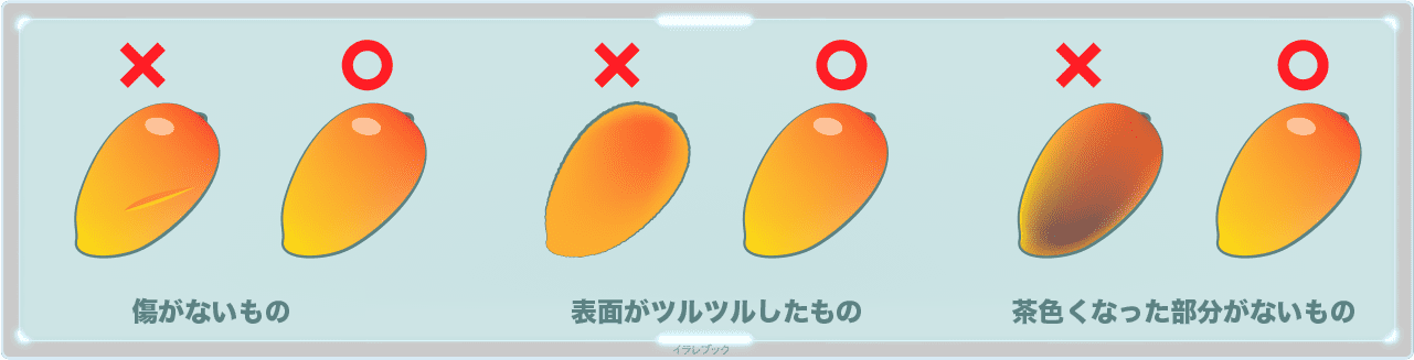 美味しいマンゴーの選び方