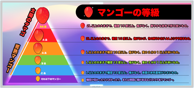 マンゴーの等級表