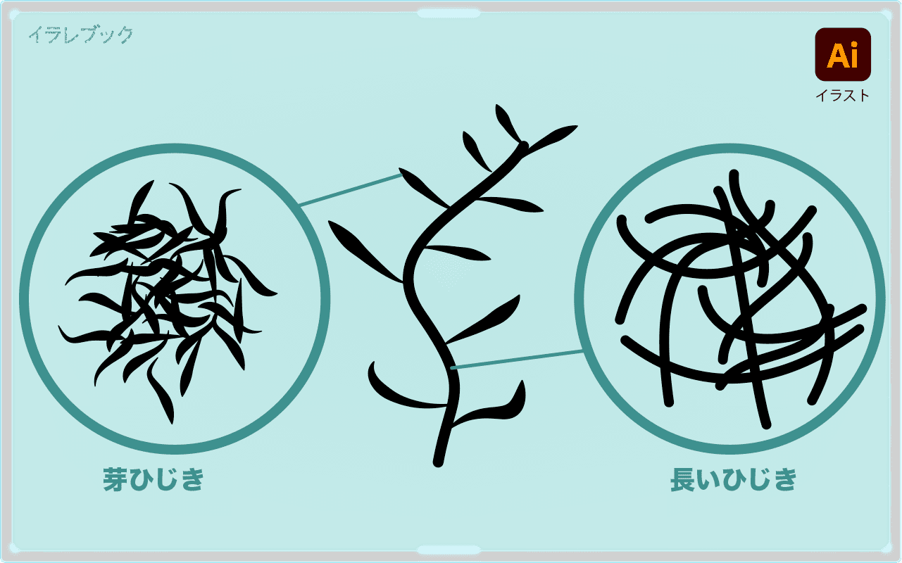 芽ひじきと長いひじきの部位