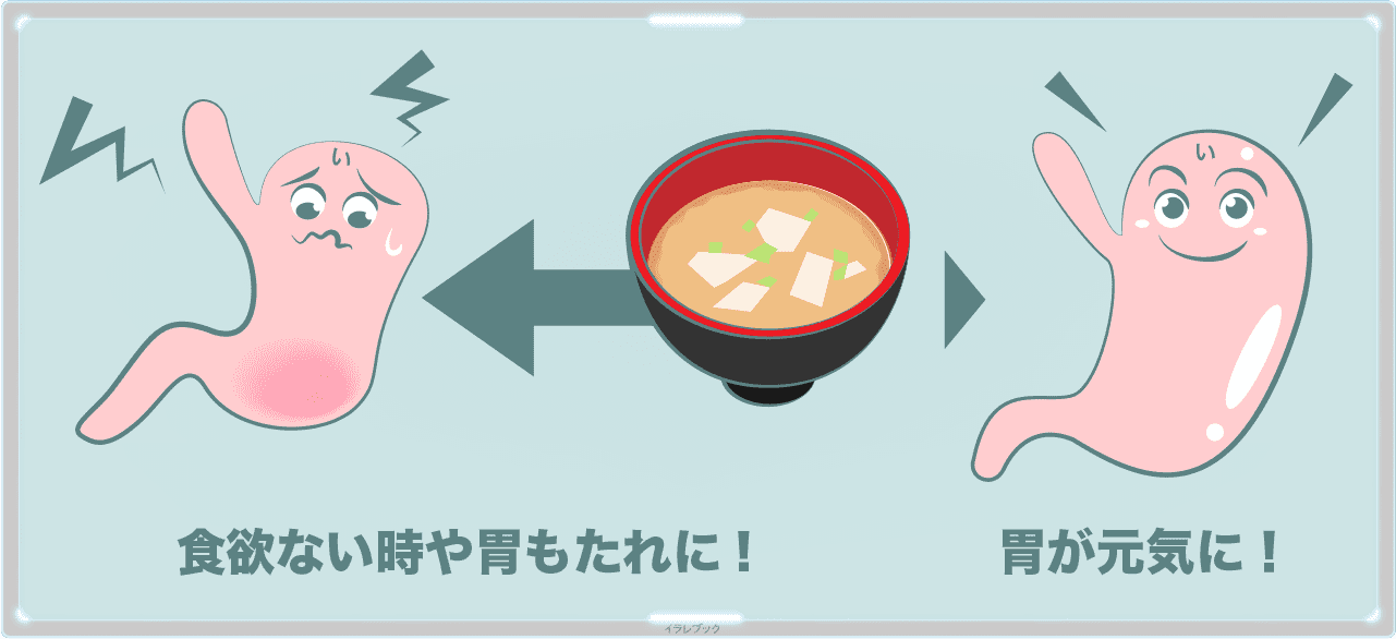 食欲がない時や、胃もたれに味噌汁がきく