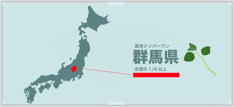 モロヘイヤは群馬が産地ナンバーワン