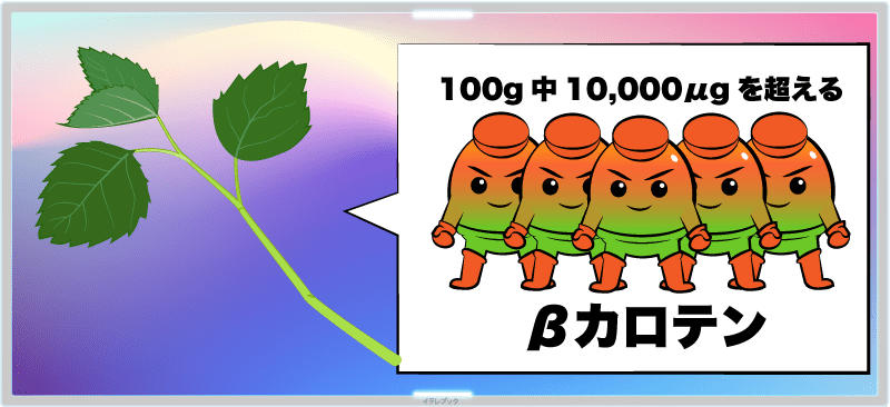 モロヘイヤはβカロテン含有量が100g中10,000μgを超える数少ない野菜の1つ