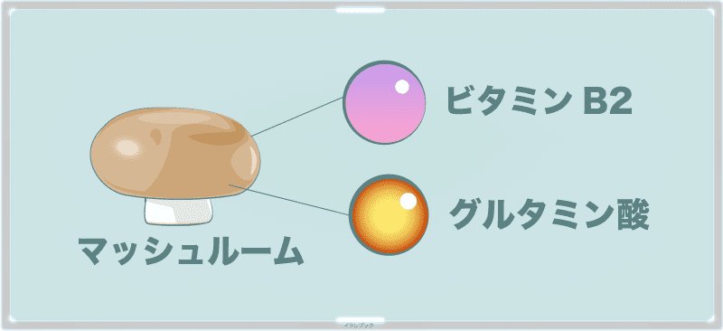 世界で最も食べられているきのこ。ビタミンB2とグルタミン酸たっぷり