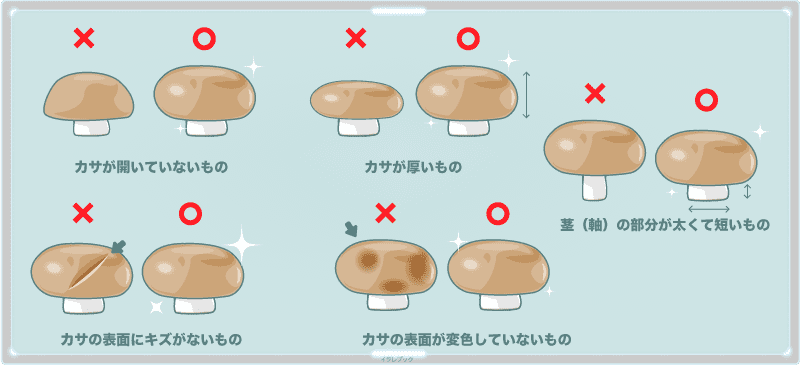 マッシュルームの選び方