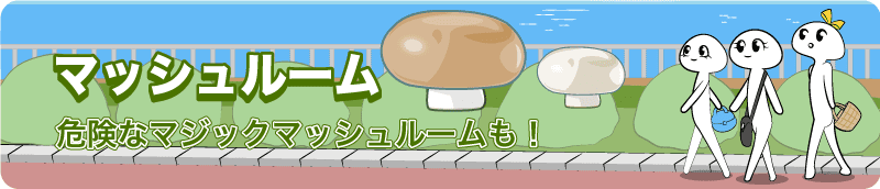 マッシュルーム mushroom