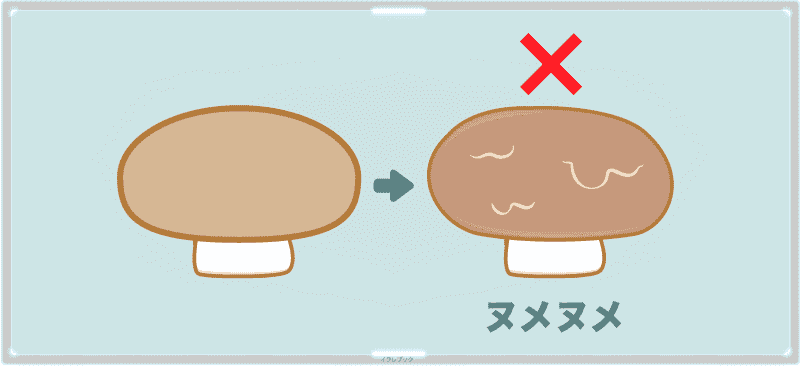 マッシュルームの表面がぬめってきたら捨てよう！