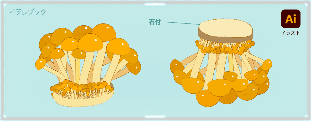 株なめこ