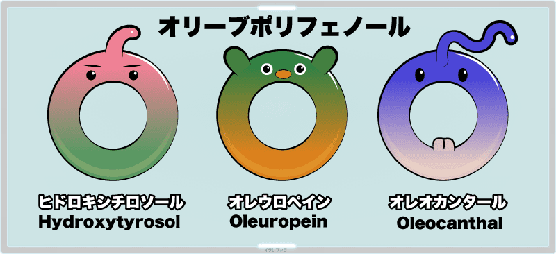 Hydroxytyrosol（ヒドロキシチロソ―ル）◆Oleuropein（オレウロペイン）◆Oleocanthal（オレオカンタール）