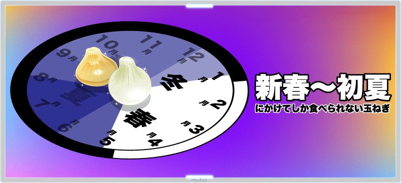 新玉ねぎは、新春~初夏にかけてしか食べられない玉ねぎ