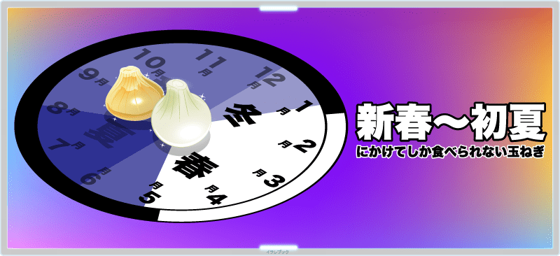 新玉ねぎは、新春～初夏にかけてしか食べられない玉ねぎ