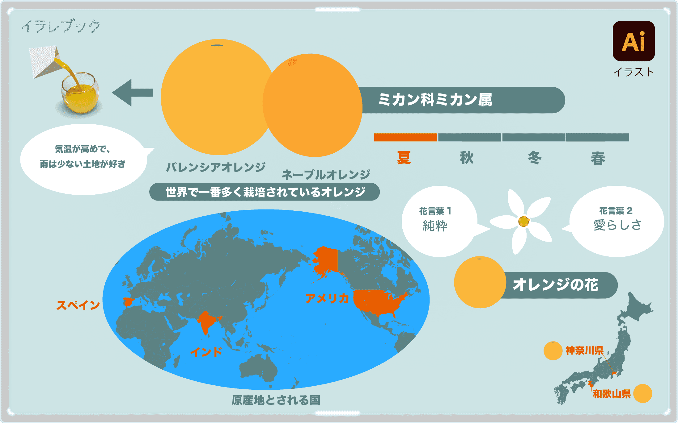 オレンジジュース 栄養と効果 オレンジジュースの原材料 色の効果 Orangejuice