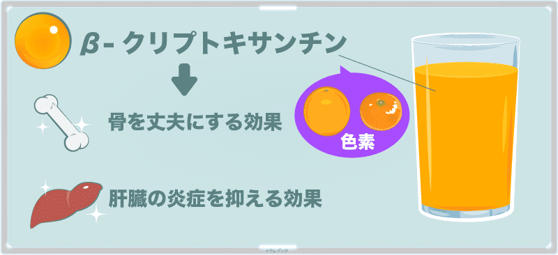 β-クリプトキサンチンは骨の肝臓に良い