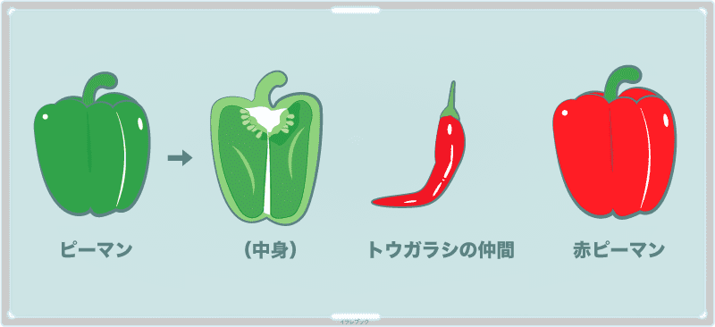 ピーマンの中身と唐辛子や赤ピーマン