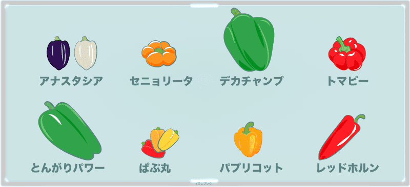 ピーマン&パプリカの品種色々