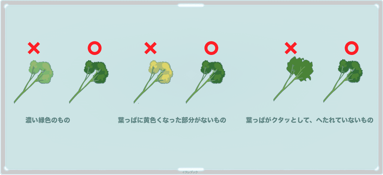 美味しいパセリの選び方