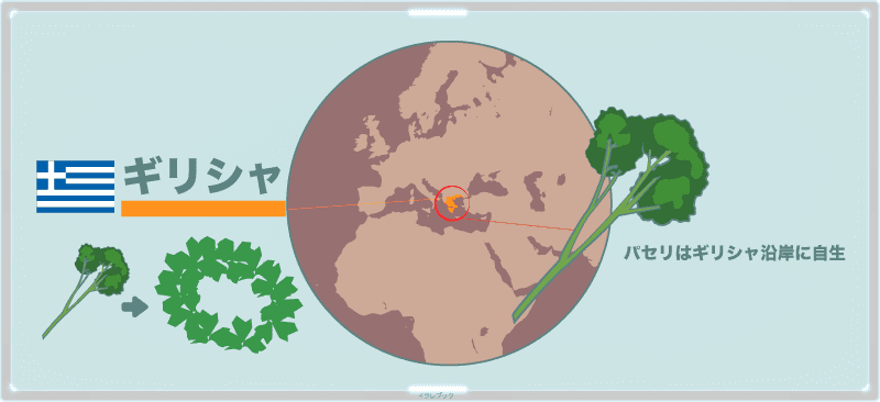 パセリの原産地はギリシャ