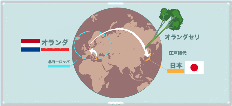 パセリが日本にやってきたのは江戸時代