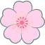 桃の花