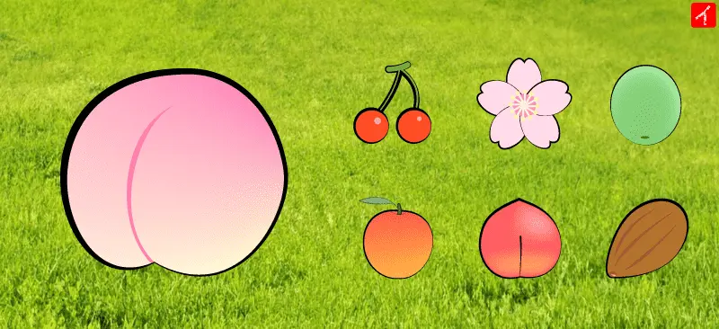 桃はバラ科モモ属の植物
