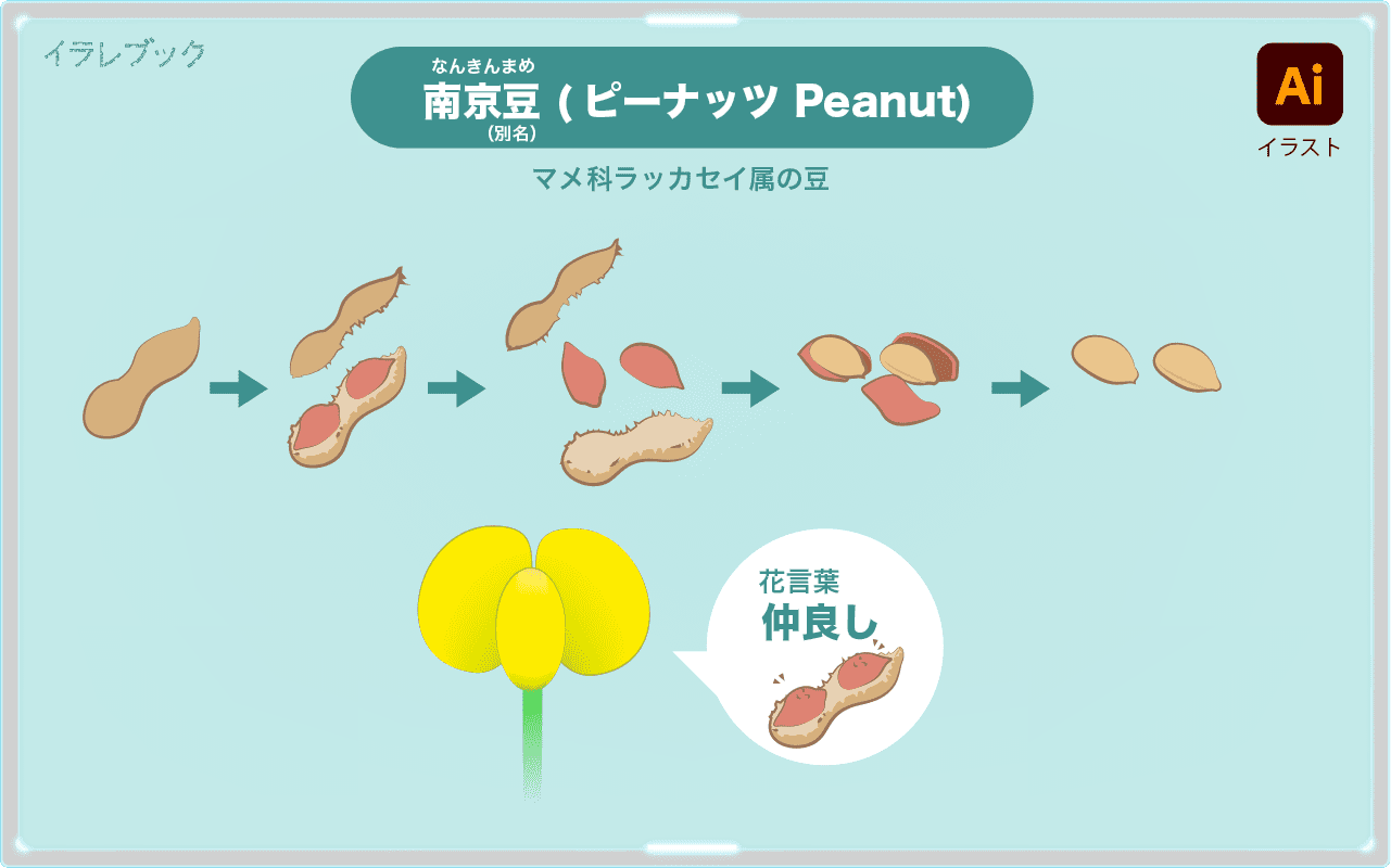 落花生(ピーナッツ)皮から中身