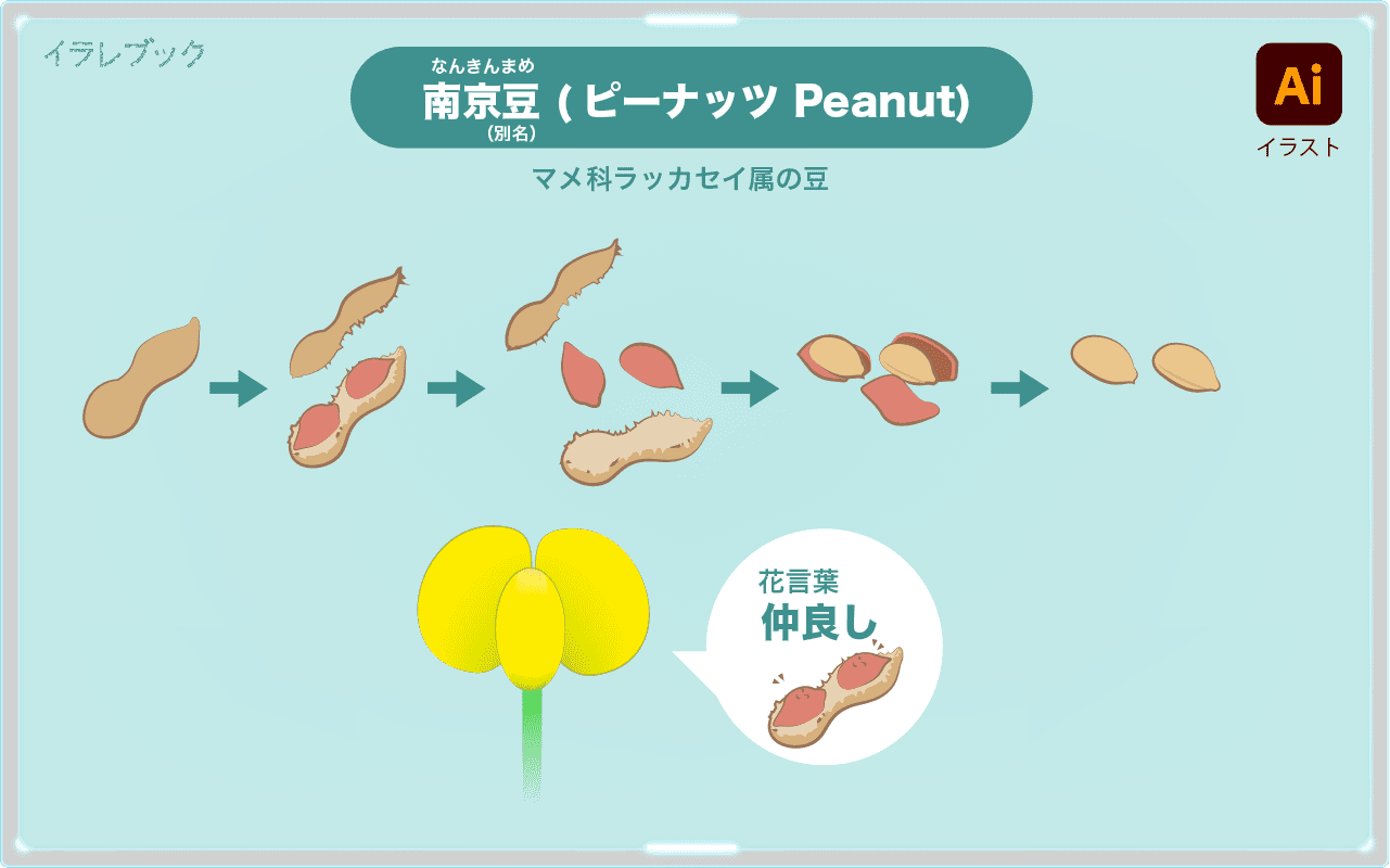 落花生（ピーナッツ）皮から中身