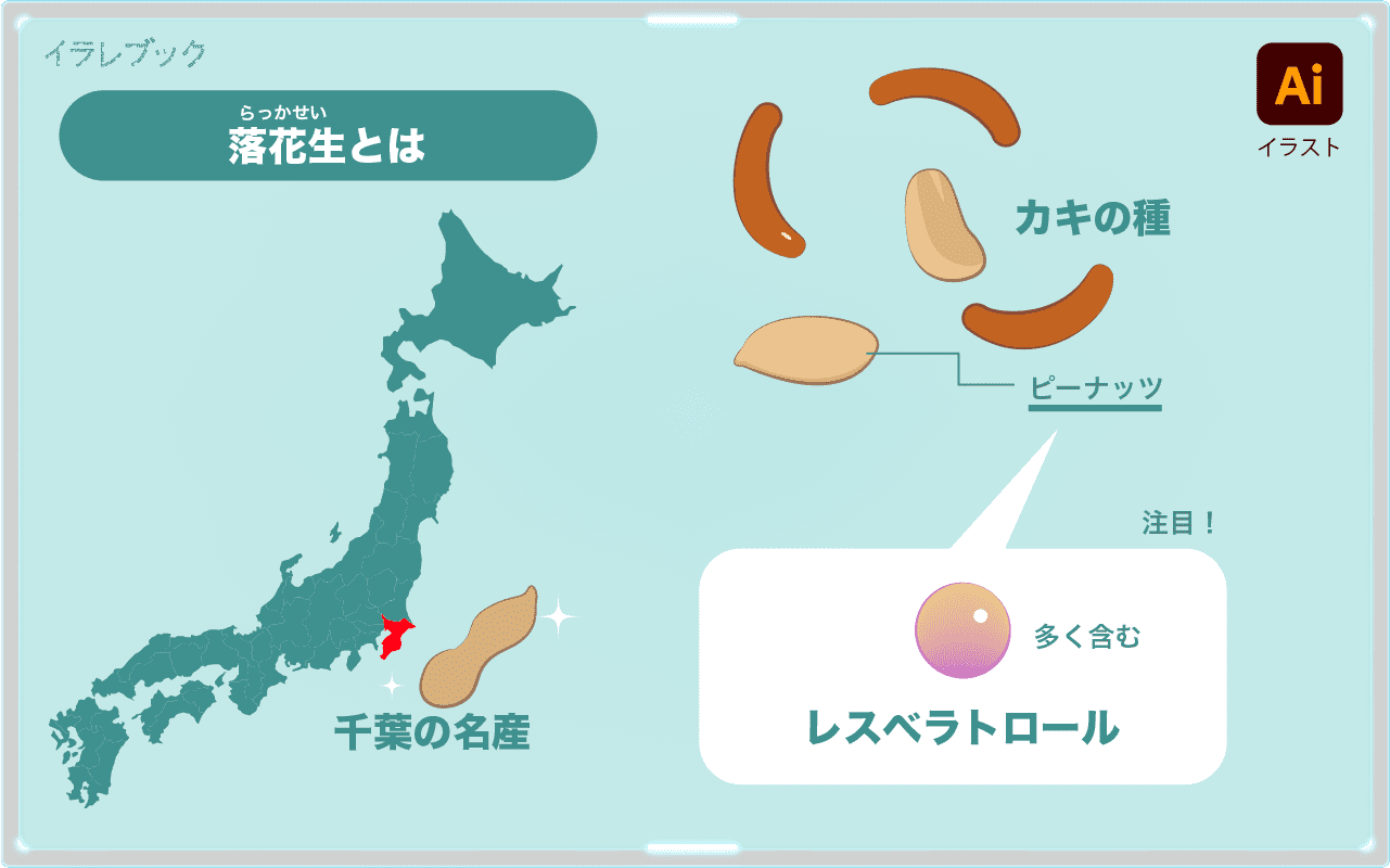 落花生とは