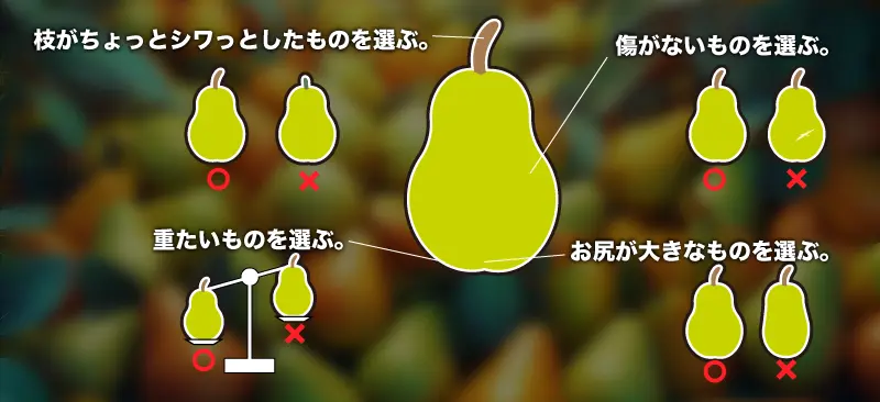 洋梨の選び方のイメージ