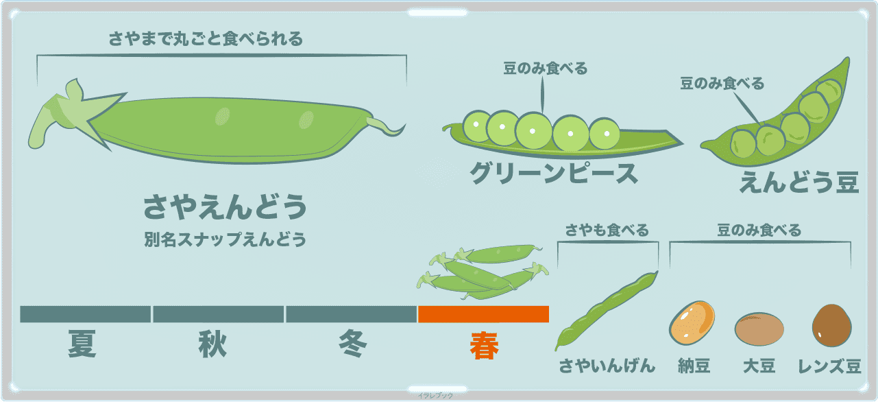 さやえんどう、グリーンピース、えんどう豆、