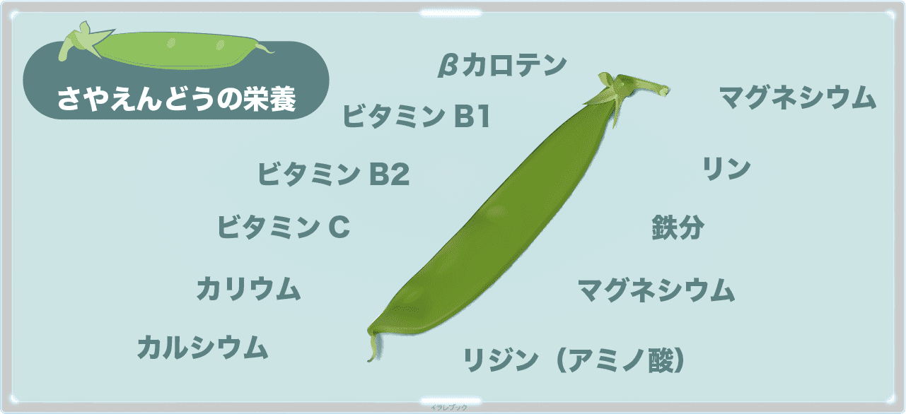 さやえんどうの栄養